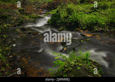 Cascata sotto la porta d'acqua nei pressi della città di Vyssi Brod in estate nuvoloso fresco giorno Foto Stock