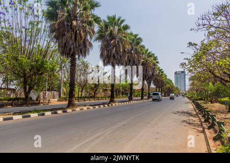 Viale costeggiato da palme a Bahir Dar, Etiopia Foto Stock