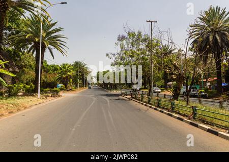 Viale costeggiato da palme a Bahir Dar, Etiopia Foto Stock