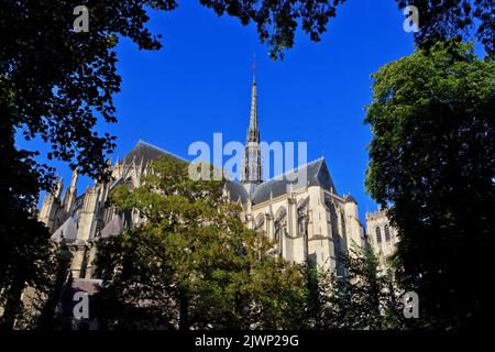 Cattedrale di Amiens (patrimonio dell'umanità dell'UNESCO) ad Amiens (Somme), Francia Foto Stock
