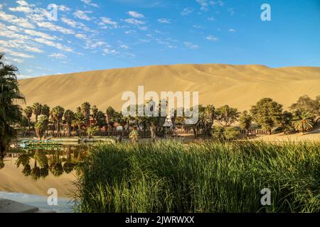 Huacachina - un'oasi nel mezzo del deserto peruviano, vista di palme e una laguna con barche e dune di sabbia sullo sfondo. Foto Stock