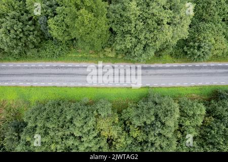 Una strada forestale vista dall'alto Foto Stock