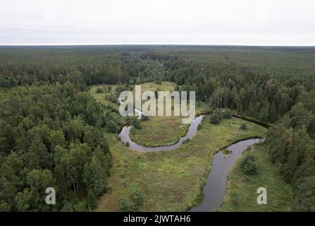 Fiume serpeggiante nel nord dell'Estonia Foto Stock