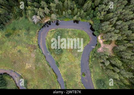 Fiume serpeggiante nel nord dell'Estonia Foto Stock