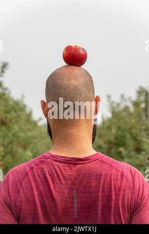 Vista posteriore di un uomo calvo con mela rossa sulla testa Foto Stock