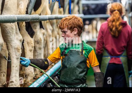 Agricoltura: Timoleague, Cork occidentale, Irlanda. 6th settembre 2022. Il branco forte 160 del caseificio DJ Keohane sono mungere nella sua fattoria a Timoleague, West Cork. Figlio di DJ, Daniel di 11 anni e figlia Clíodhna, 15 aiuto per la mungitura. Il salone ospita 20 mucche per lato e la mungitura viene completata in un'ora. DJ sta attualmente producendo circa 20 litri per vacca. Credit: AG News/Alamy Live News Foto Stock