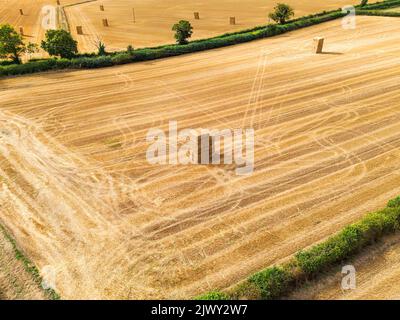 Vista aerea delle balle di fieno impilate nel campo agricolo post-raccolto Foto Stock