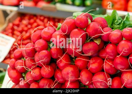 Grappoli di verdure fresche di ravanello rosso organico primo piano Foto Stock