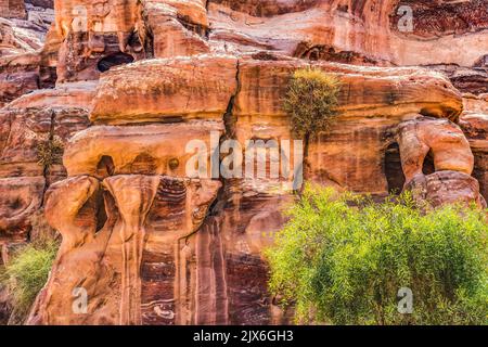 Rose Red Rock Tombe mattina strada delle facciate Petra Giordania costruita da Nabataens nel 200 AC al 400 DC Canyon pareti cambiare Rose Rosso pomeriggio quando il sole va Foto Stock