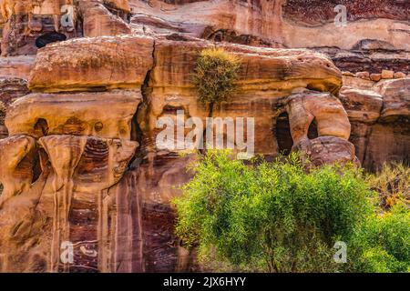 Rose Red Rock Tombe mattina strada delle facciate Petra Giordania costruita da Nabataens nel 200 AC al 400 DC Canyon pareti cambiare Rose Rosso pomeriggio quando il sole va Foto Stock