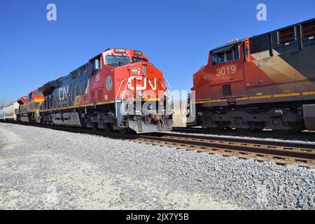 Hoffman Estates, Illinois, USA. Un treno merci nazionale canadese, a sinistra, che tiene su un lato che è passato da un altro treno merci. Foto Stock