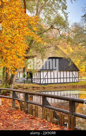 Casa forestale - tesoro pubblico nazionale, Denmark.A diverse centinaia di anni di casa forestale. Tesoro pubblico in Danimarca. Foto Stock