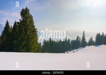 paesaggio montano con foresta di conifere. bellissimo paesaggio invernale con prati innevati. mattina fosca con crinale in lontananza Foto Stock