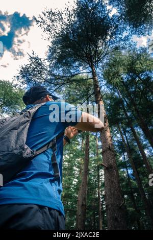 Settembre 17th 2021 Himalayas Uttarakhand India. Un viaggiatore con uno zaino che fotografa gli alberi di Deodar nella foresta della regione dell'Himalaya. Foto Stock