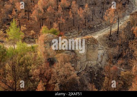 Vasche (tine in catalano) e la valle Flequer dopo il 2022 Pont de Vilomara fuoco nel Parco Naturale di Sant Llorenc del Munt i l'Obac Catalonia Spagna Foto Stock