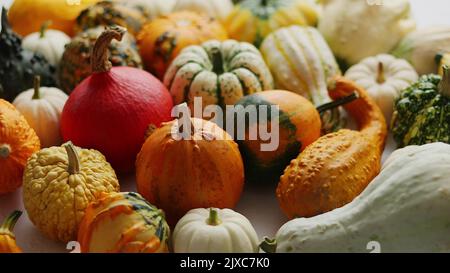 Zucche colorate in diverse varietà e generi posti sul tavolo Foto Stock