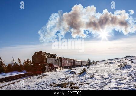 Brockenbahn treno a vapore ferrovia locomotiva sul monte Brocken in Germania Foto Stock