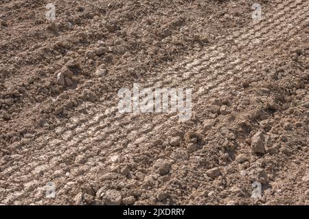 Cingoli di pneumatici di trattori agricoli in terreno asciutto e pareggiato in campo preparati per la semina di nuovi prodotti. Per le terre secche o i terreni agricoli, l'agricoltura del Regno Unito, lascia un'impressione Foto Stock