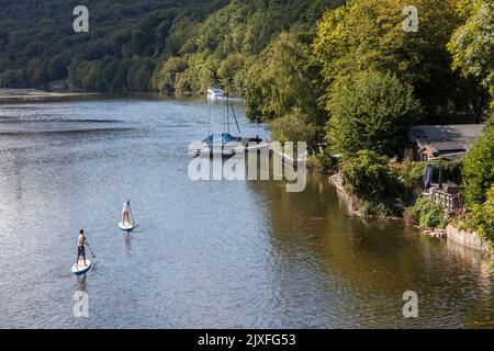 Uomo e donna che si addona su tavole SUP sul lago Hengstey, bacino idrico tra Hagen, Herdecke e Dortmund, Renania settentrionale-Vestfalia, Germania. Mann und fra Foto Stock