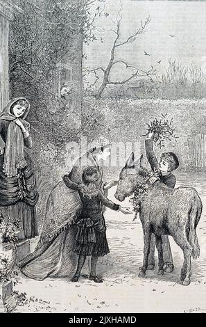 Illustrazione raffigurante l'agrifoglio e la mistletoe per Natale. Illustrato da Mary Ellen Edwards (1838-1934) un artista inglese. Datato 19th ° secolo Foto Stock