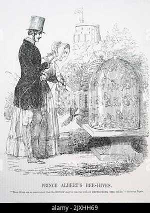 Cartoon intitolato 'Prince Albert's Bees' raffigurante Alberto, Principe Consort (1819-1861) raffigurante la regina Vittoria (1819-1901) il suo alveare. Datato 19th ° secolo Foto Stock