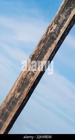 Verticale marrone scuro stretta asse log legno duro corteccia superficie struttura stelo fondo cielo mare board Foto Stock