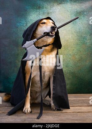 Cane vestito per Halloween e giorno dei morti con un mantello nero con un cappuccio e un'ascia in bocca Foto Stock