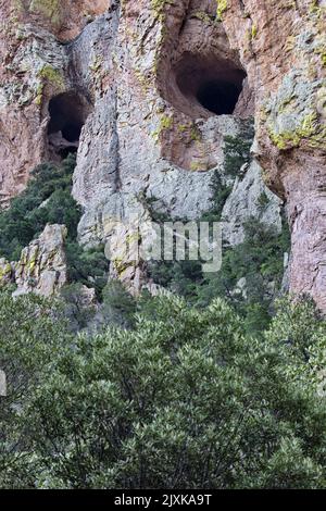 Vecchio uomo della montagna faccia con gli occhi scuri e la barba verde nella formazione di grotte rocciose lungo South Fork Road a Cave Creek Canyon, Arizona Foto Stock