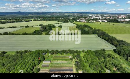 Raccolta di piselli maturi bio fattoria fattoria Pisum sativum snap drone aereo, contadino pepe kohlrabi spinaci agricola fattoria giardino coltivatore frutteto dron sho Foto Stock