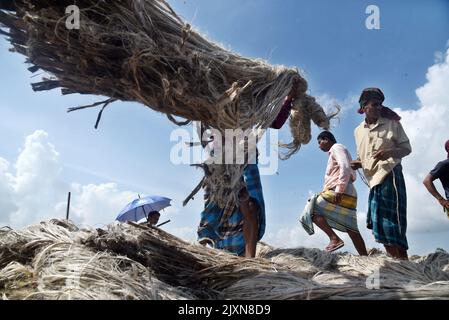 I lavoratori caricano la iuta su una barca sulla riva del fiume Padma in un mercato rurale a Munshigonj il 29 agosto 2022. Foto Stock