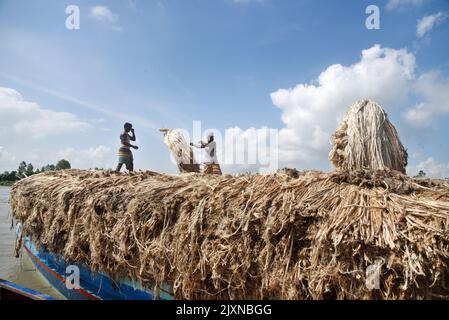 I lavoratori caricano la iuta su una barca sulla riva del fiume Padma in un mercato rurale a Munshigonj il 29 agosto 2022. Foto Stock