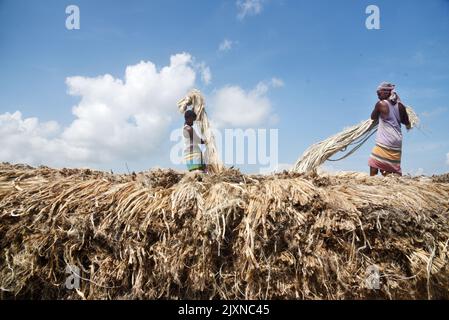 I lavoratori caricano la iuta su una barca sulla riva del fiume Padma in un mercato rurale a Munshigonj il 29 agosto 2022. Foto Stock