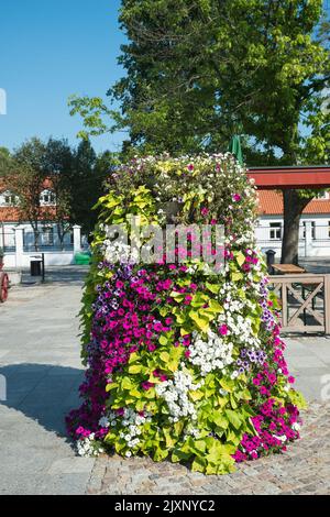 Supraśl, Contea di Białystok, Podlaskie Voivodato, Polonia Foto Stock