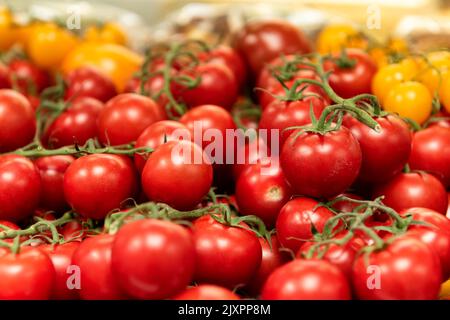 Pomodori piccoli rossi e gialli sulla vite Foto Stock