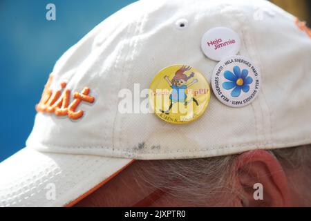 Immagine dei sostenitori dei democratici svedesi (sd) durante una riunione elettorale in una piazza. Foto Stock