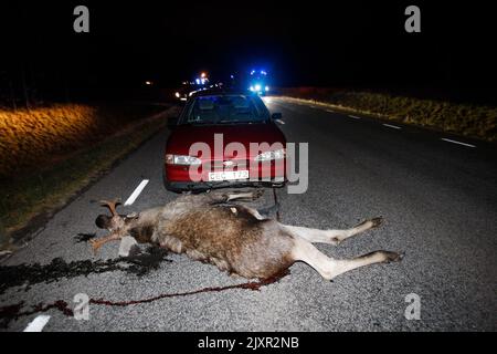 Un'auto che si scontrò con un'alce in una sera d'autunno buia su una strada di campagna. Foto Stock