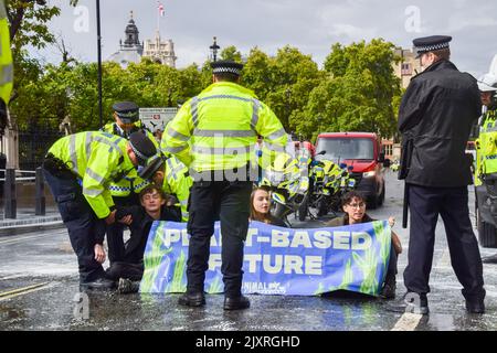 Londra, Regno Unito. 7th Set, 2022. Gli attivisti della ribellione animale hanno coperto il muro fuori dal Parlamento con vernice bianca, simboleggiando il latte, e bloccato la strada che porta al Westminster Bridge davanti ai primi PMQ di Liz Truss. L'azione faceva parte della campagna in corso del gruppo per i diritti degli animali contro i prodotti lattiero-caseari, che chiedeva un futuro basato sulle piante. Credit: Vuk Valcic/Alamy Live News Foto Stock