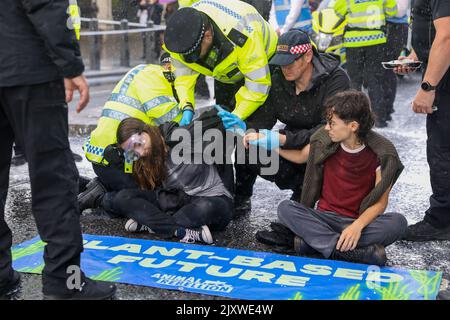 Londra, Regno Unito. 07th Set, 2022. I membri della ribellione animale vengono arrestati dopo aver dipinto a spruzzo le pareti del Westminster Palace appena fuori dal Big ben, in quanto chiedono un futuro basato sulle piante. Credit: Lucy North/Alamy Live News Foto Stock