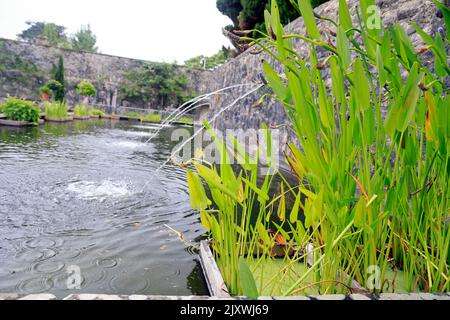 Giardino Italiano, Museo di Storia Nazionale di St Fagans. Estate 2022. Agosto. Foto Stock