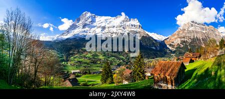 Svizzera natura e viaggi. Paesaggio alpino. Pittoresco villaggio di montagna tradizionale Grindelwald circondato da vette innevate delle Alpi. Popolare turistico desti Foto Stock