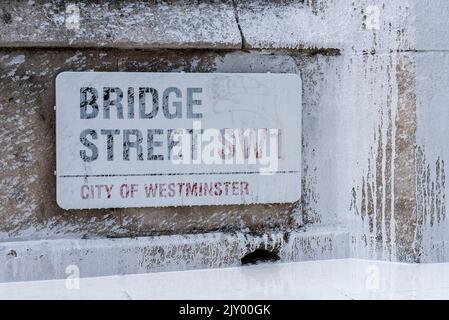 I manifestanti della ribellione animale hanno spruzzato una parete del Palazzo di Westminster con vernice bianca in una protesta contro il latte. Cartello Bridge Street coperto Foto Stock