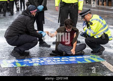 I manifestanti della ribellione animale hanno spruzzato una parete del Palazzo di Westminster con vernice e hanno bloccato la strada all'esterno fino all'arresto. Foto Stock