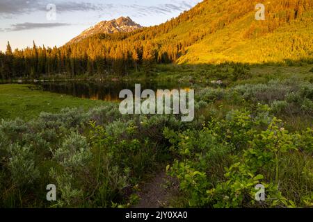 Lago Trapper riposante sotto una piccola collina e alte cime dei monti Teton che si innalzano in lontananza. Grand Teton National Park, Wyoming Foto Stock