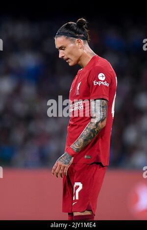 Napoli, Italia. 07th Set, 2022. Darwin Nunez del Liverpool FC sembra essere sconsolato durante la partita della UEFA Champions League tra Napoli e Liverpool allo Stadio Diego Armando Maradona, Napoli, Italia, il 7 settembre 2022. Credit: Giuseppe Maffia/Alamy Live News Foto Stock