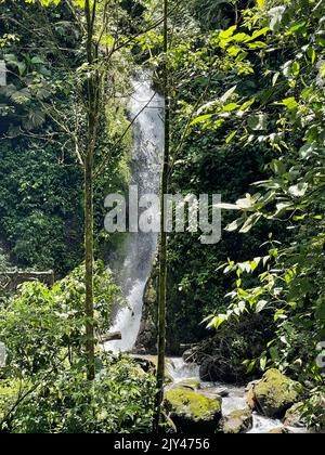 Incredibili cascate del Costa Rica viste del Costa Rica Foto Stock