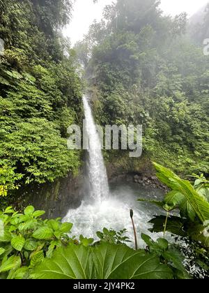 Incredibili cascate del Costa Rica viste del Costa Rica Foto Stock