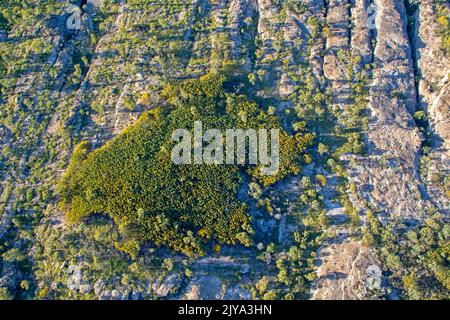 Antenna di arenaria paese intorno Cobbold Gorge Foto Stock