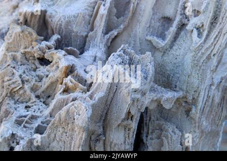 Antico vecchio legno pietrificato, scavi, minerali, come bello sfondo stretta linea di messa a fuoco, profondità poco profonda di campo macro Foto Stock