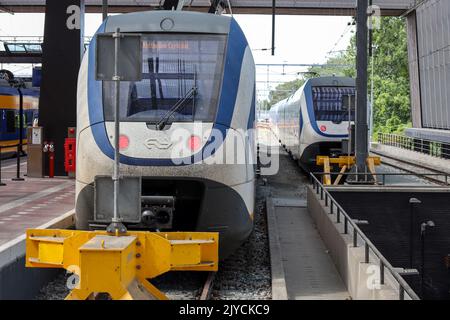 Treno locale SLT spinter sulla stazione centrale di Rotterdam nei Paesi Bassi Foto Stock