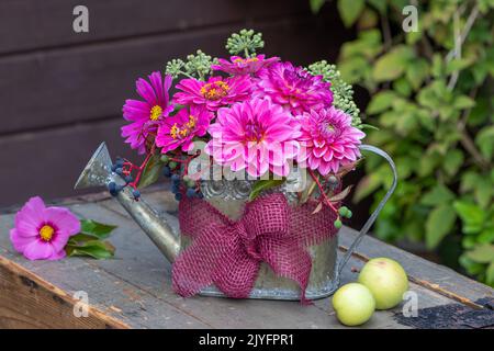 composizione floreale con dahlias rosa, zinnie e fiori di cosmo in annaffiatoio decorativo Foto Stock